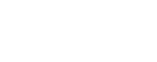 Bloom Value Logo